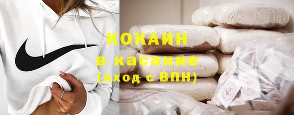дмт Лагань