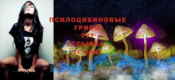 дживик Лабытнанги