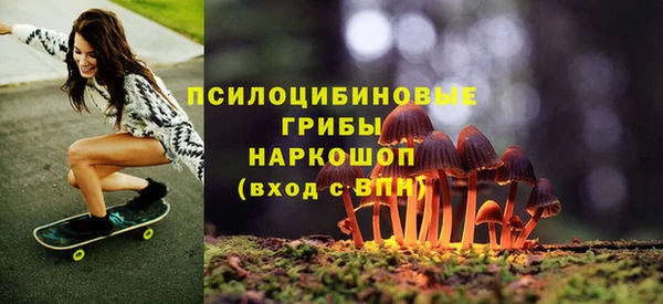 дживик Лабытнанги
