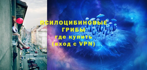 дживик Лабытнанги