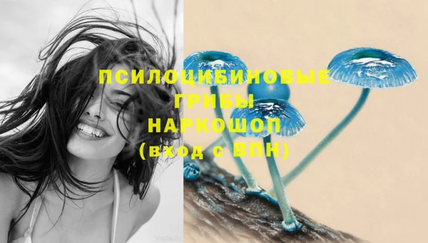 дживик Лабытнанги